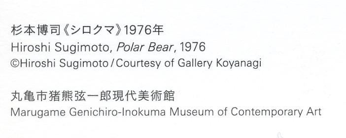 杉本博司ポストカード シロクマ