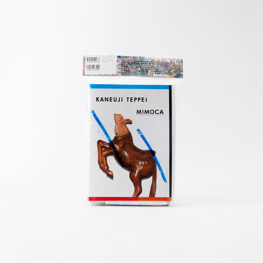 Catalogue Teppei Kaneuji “ZONES”