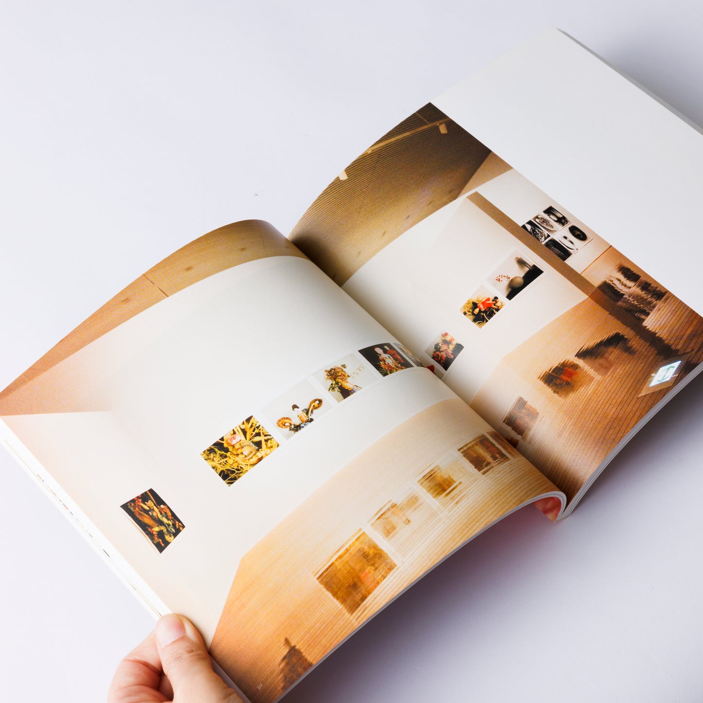 Catalogue: Nobuyoshi Araki I, Photography