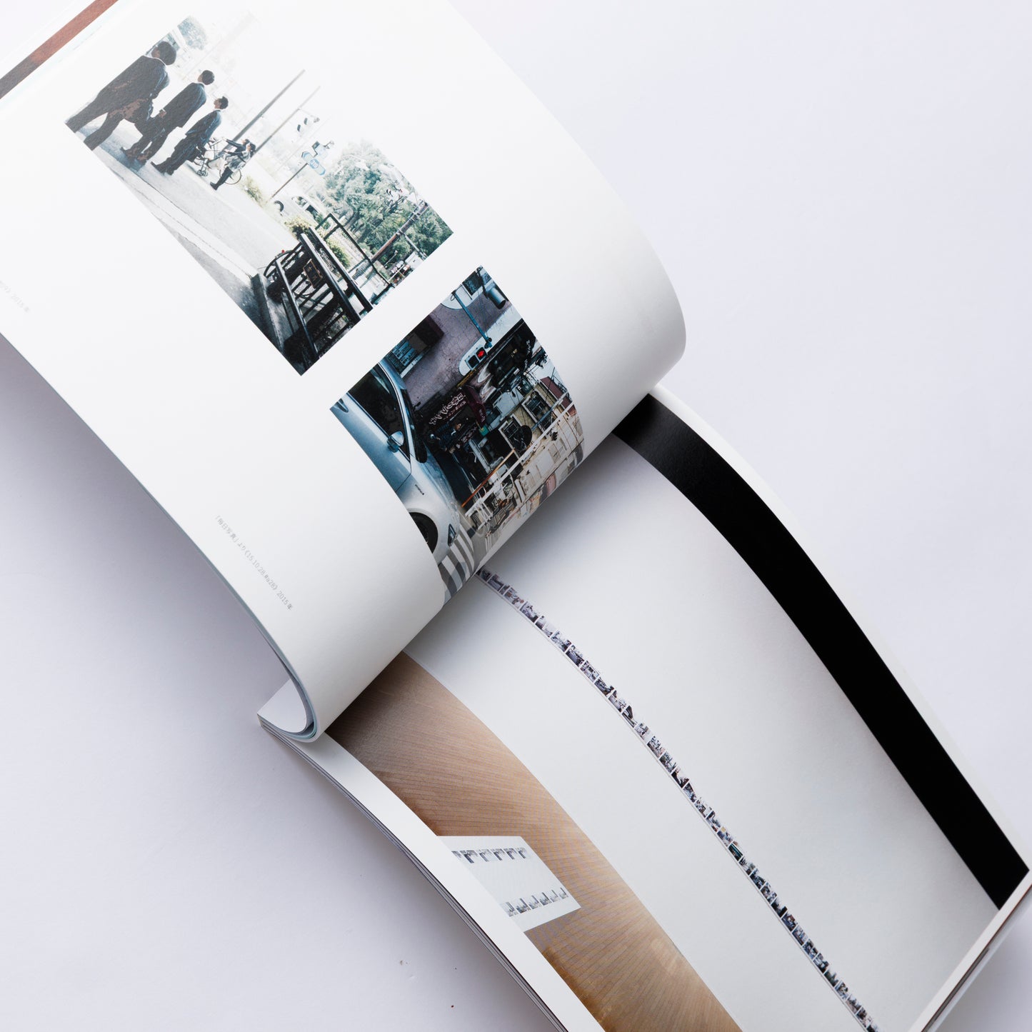 Catalog Our Beloved World