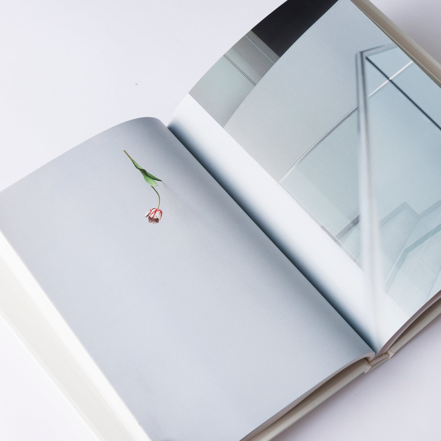 Catalogue SUDA YOSHIHIRO