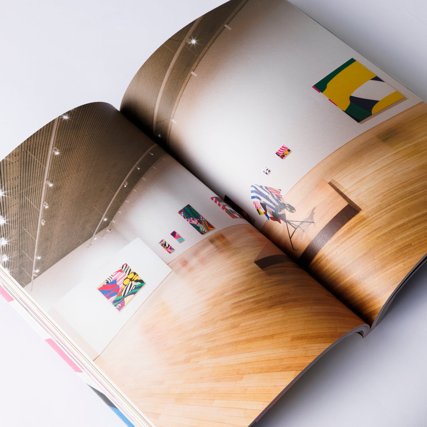 Shunsuke Imai / Skirt and Scene catalogue