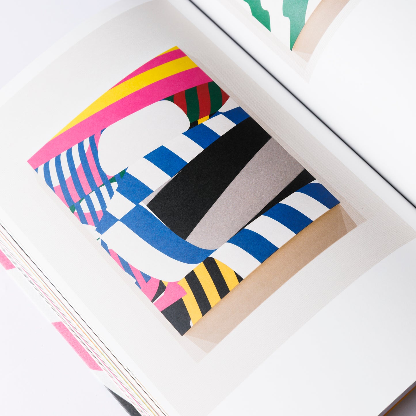 Shunsuke Imai / Skirt and Scene catalogue