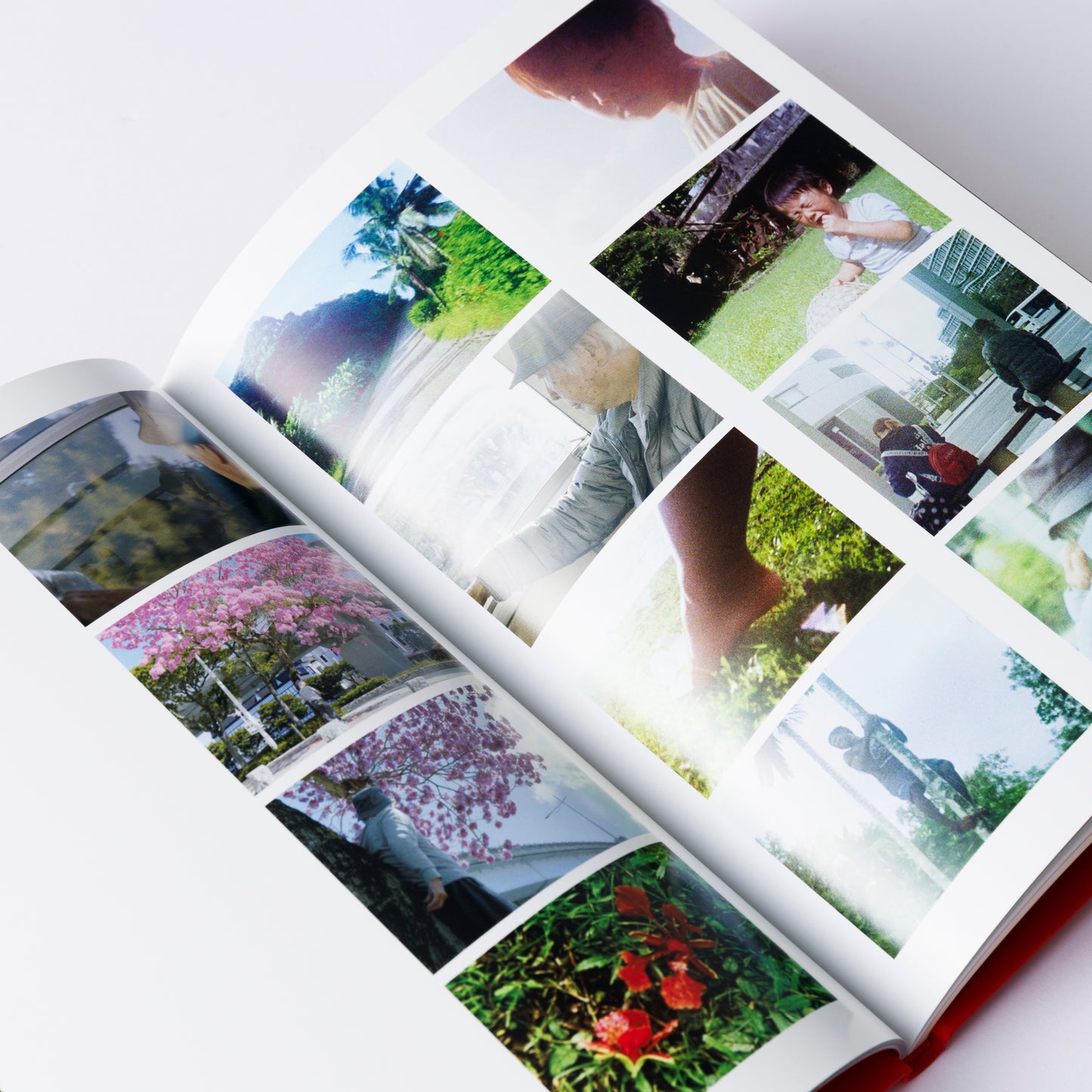 Catalog: Chikako Yamashiro :Flowers of Belau