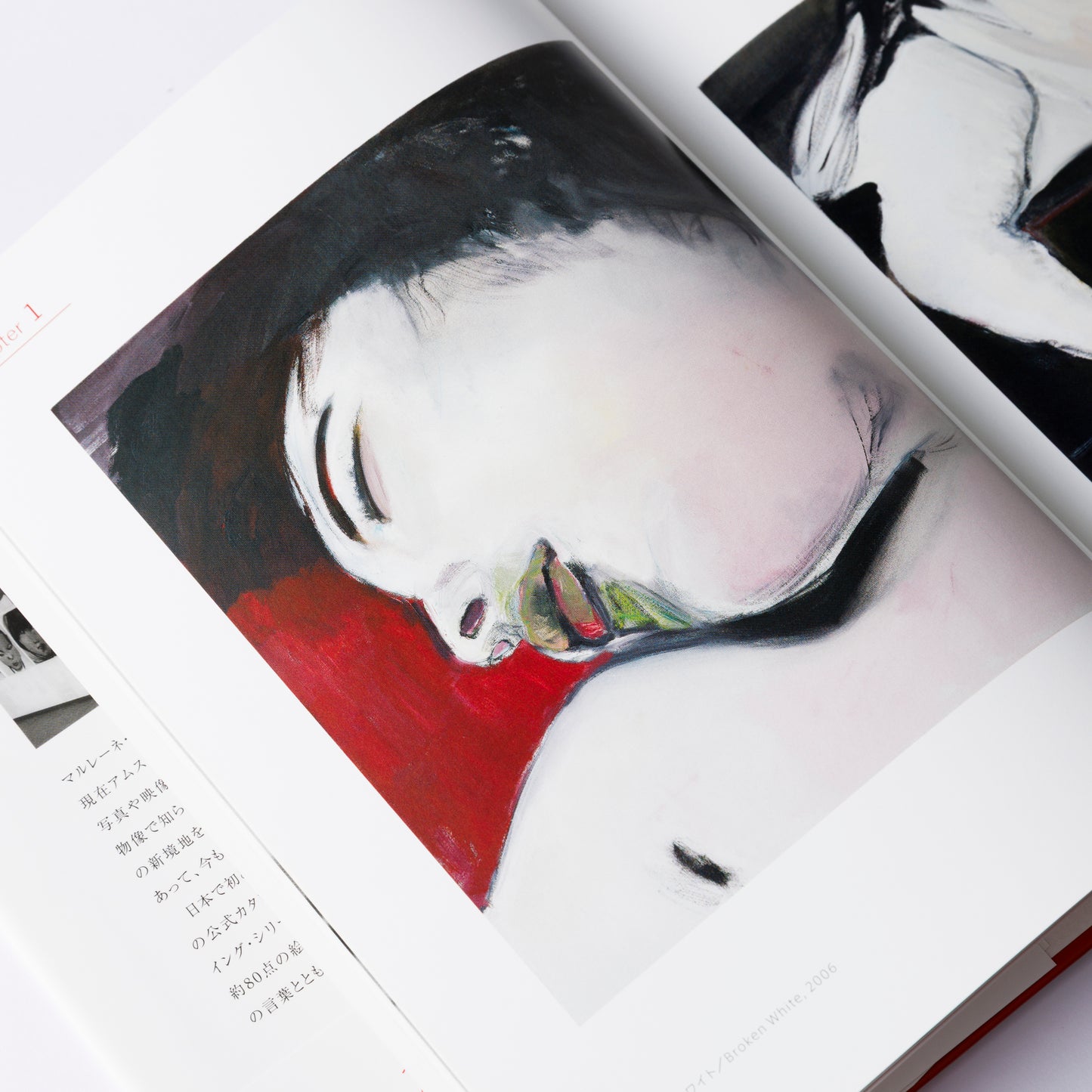 Book Marlene Dumas BROKEN WHITE