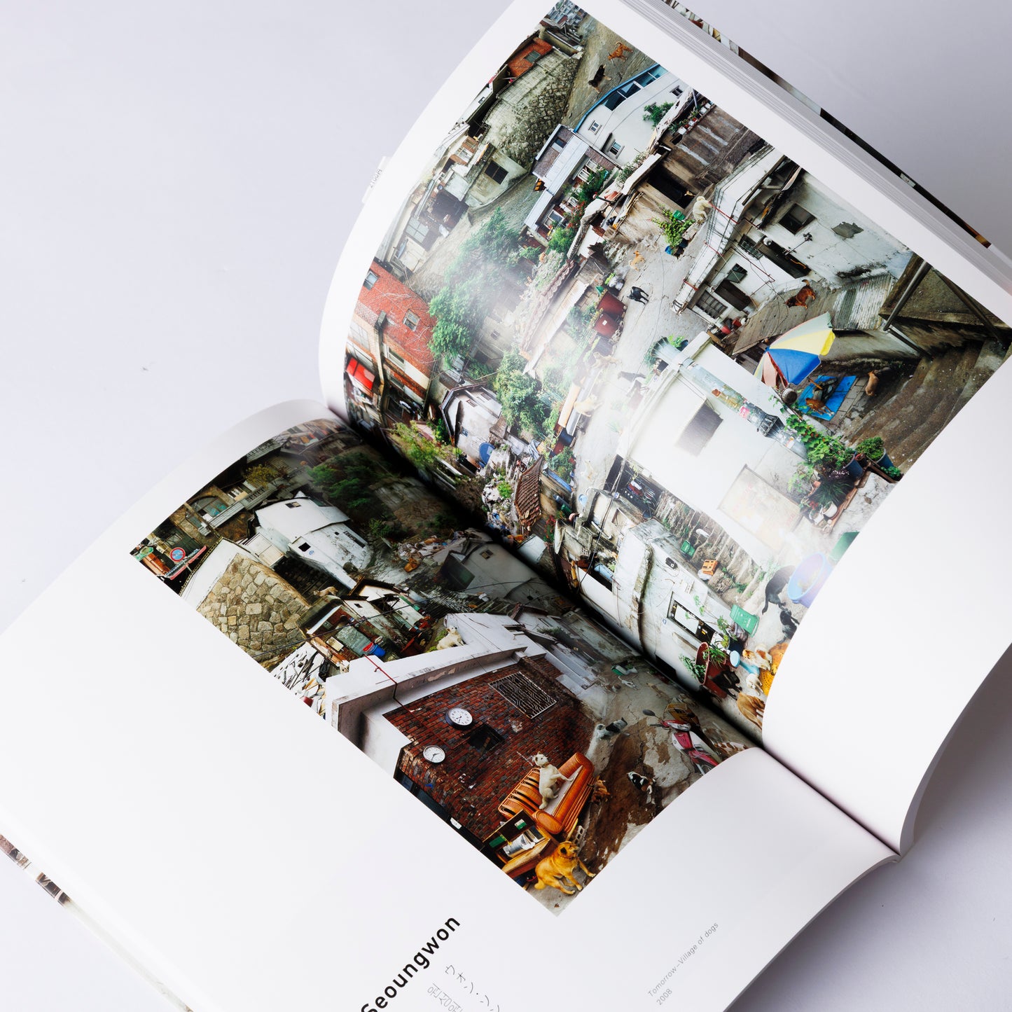 Catalogue: DOUBLE FANTASY―Korean Contemporary Art