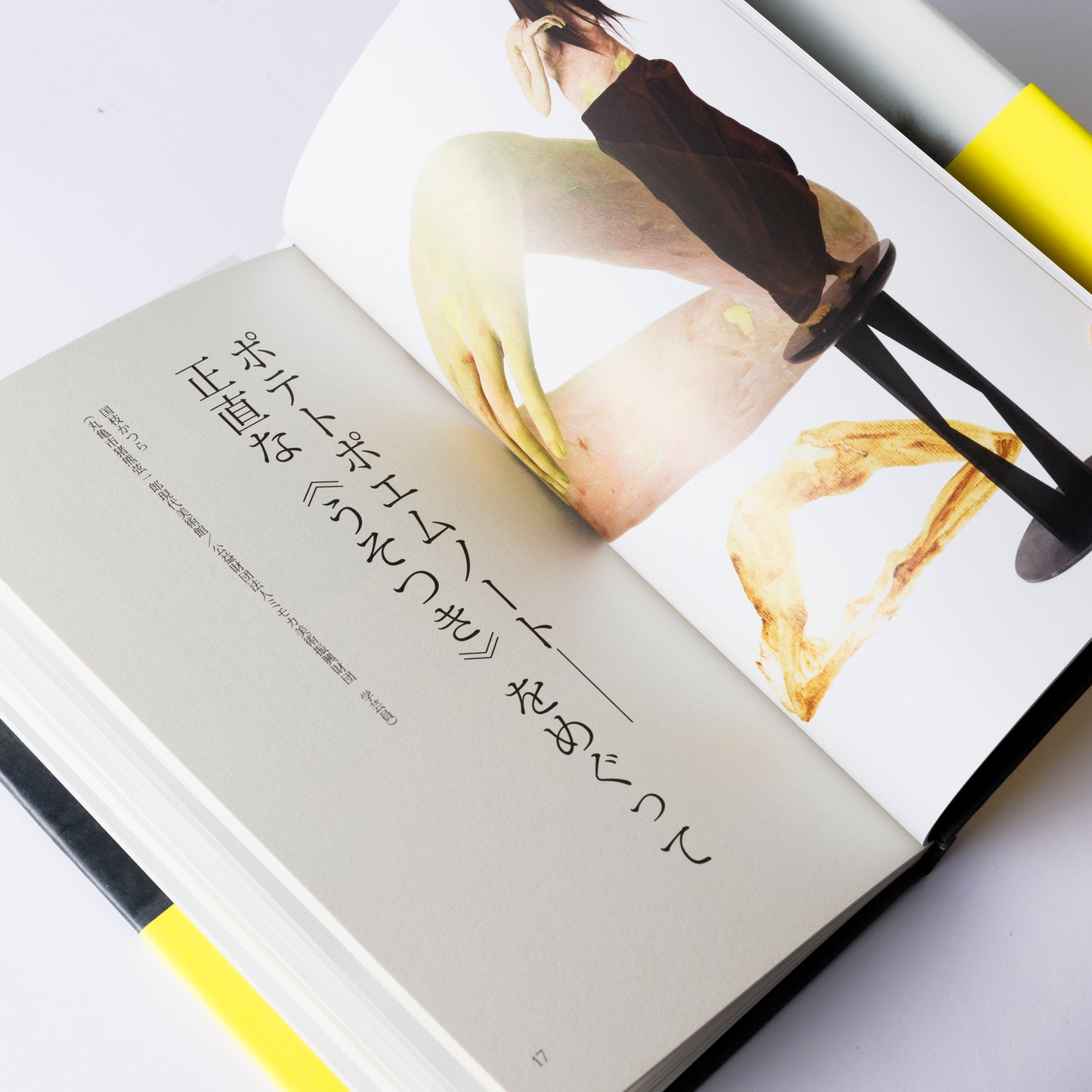 Book Francis Upritchard Potato Poem
