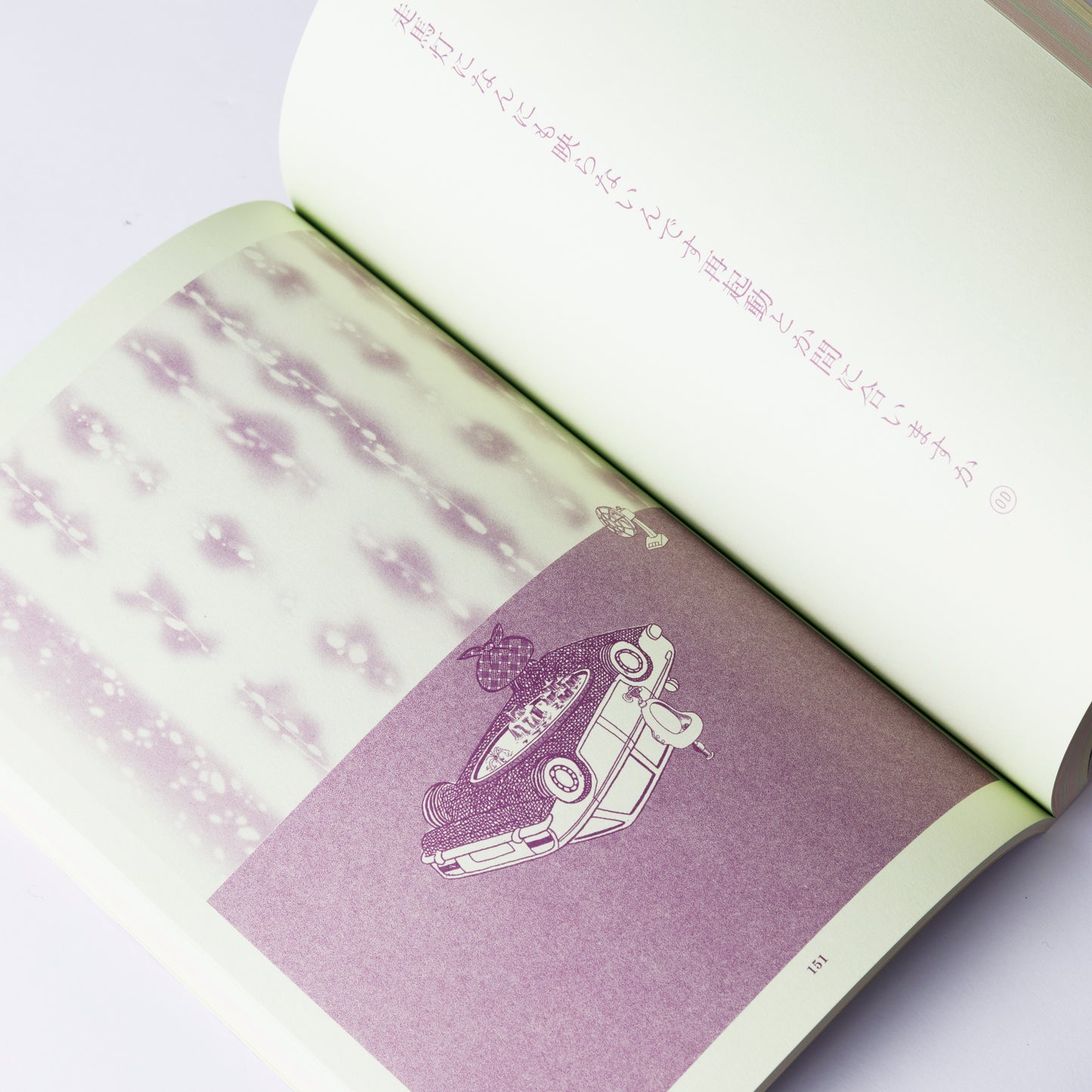 Catalogue Teppei Kaneuji “ZONES”