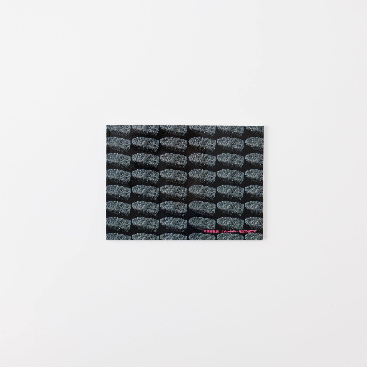 草間彌生展 Labyrinth-迷宮の彼方に