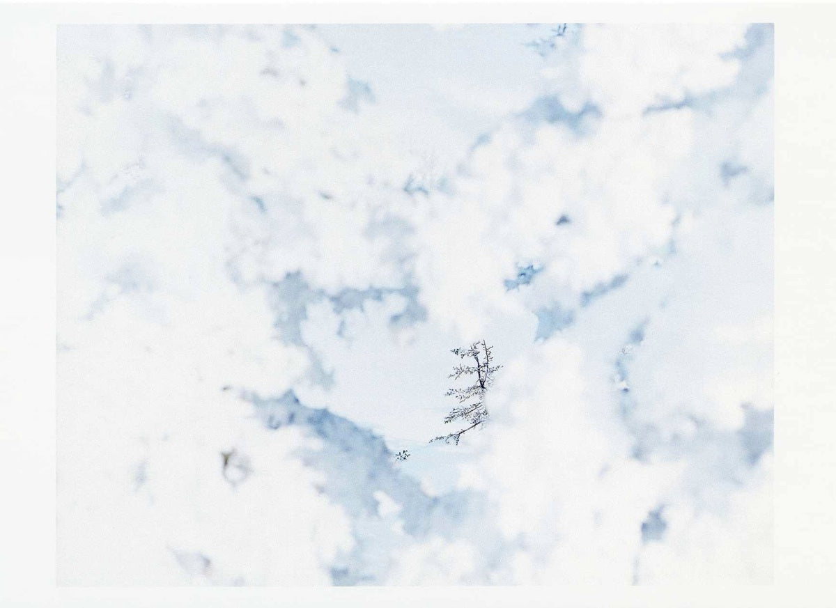 鈴木理策ポストカード White09,H-343