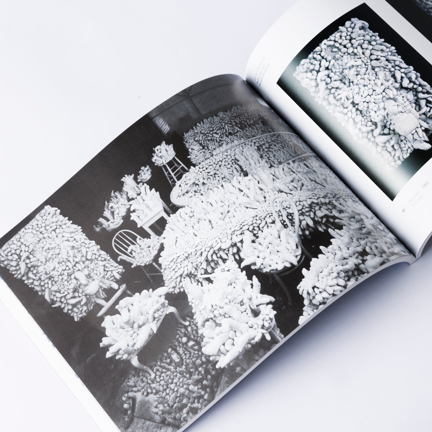 草間彌生展 Labyrinth-迷宮の彼方に