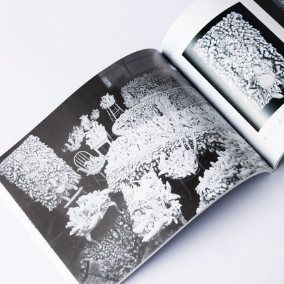 草間彌生展 Labyrinth-迷宮の彼方に