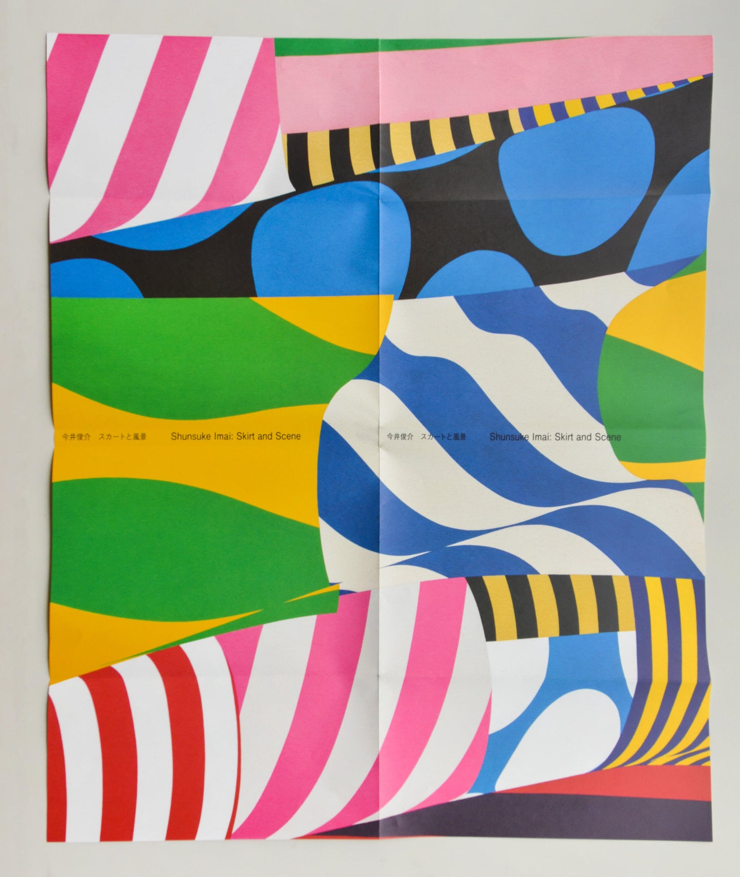 Shunsuke Imai / Skirt and Scene catalogue
