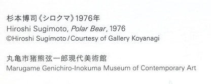 杉本博司ポストカード シロクマ
