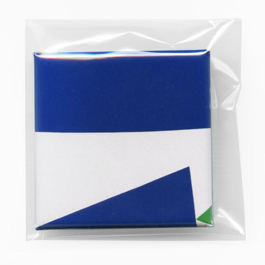 Shunsuke Imai / Skirt and Scene can badge F