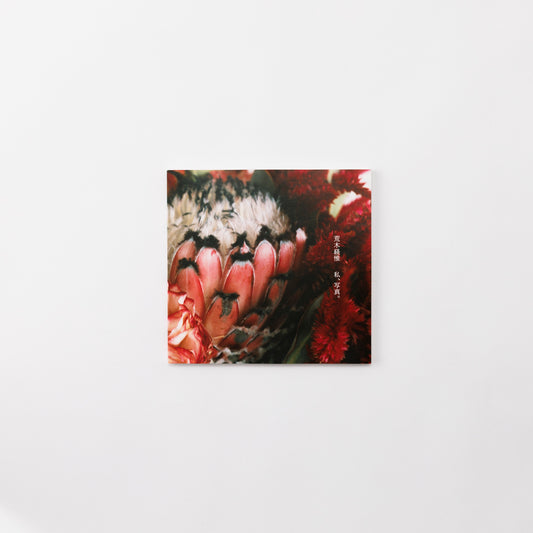 Catalogue: Nobuyoshi Araki  I, Photography