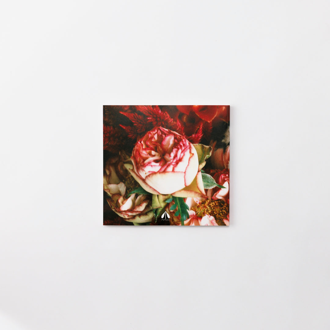 荒木経惟 私、写真。 – MIMOCA ONLINE SHOP