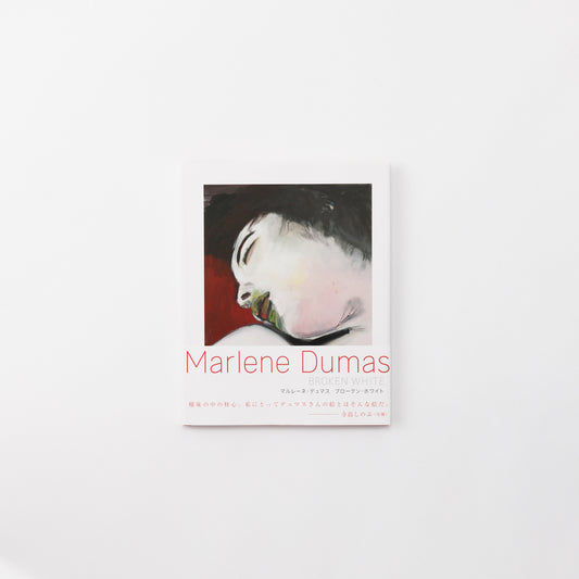 Book Marlene Dumas BROKEN WHITE