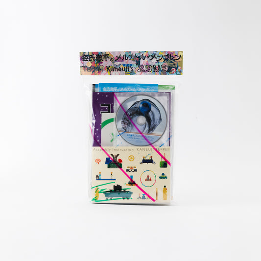 Catalogue Teppei Kaneuji “ZONES”