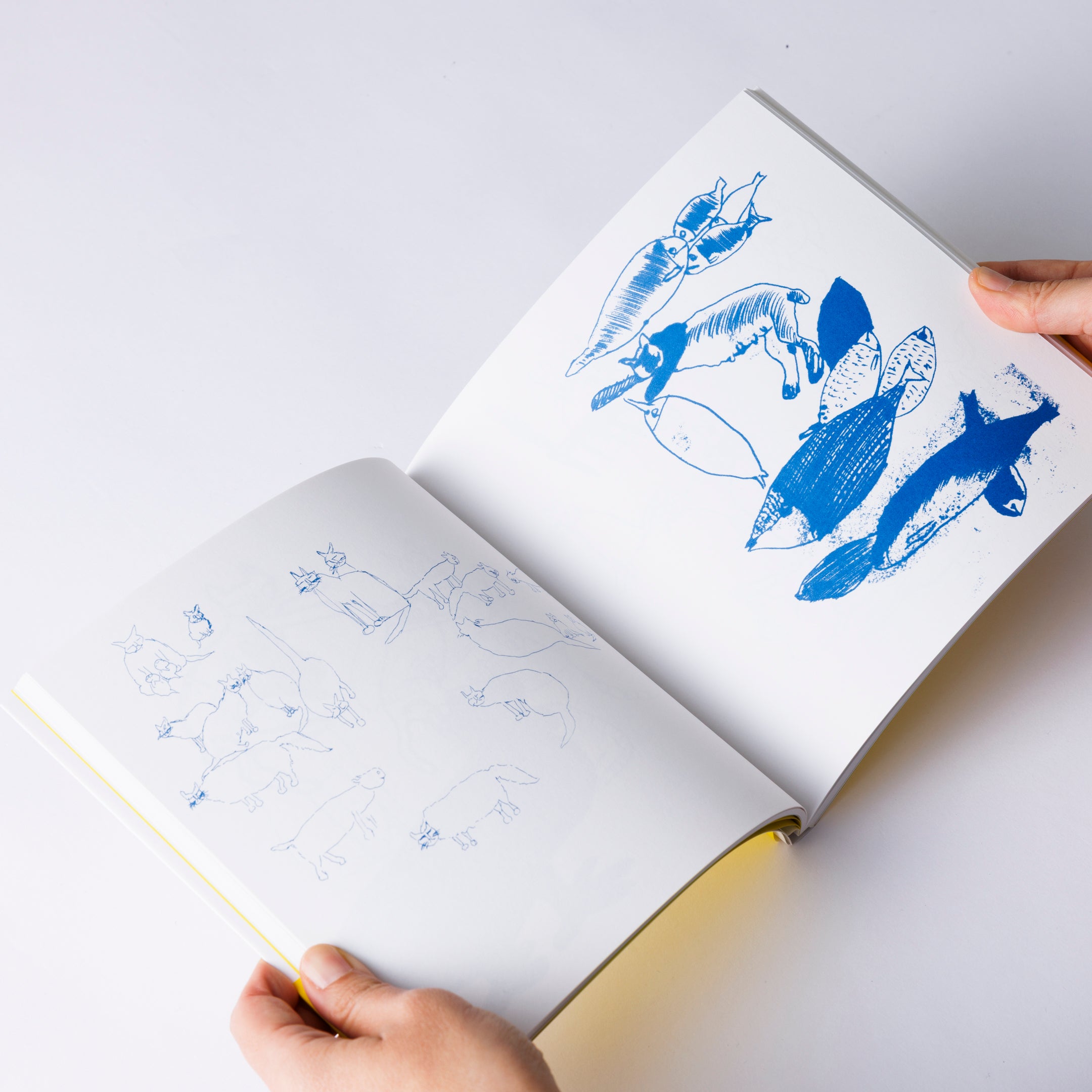 猪熊弦一郎、月と猫、希少な額装用画集画、新品額装付、状態良好 Genichiro Inokuma / 猪熊弦一郎版画額「猫との関係」 | Natsume