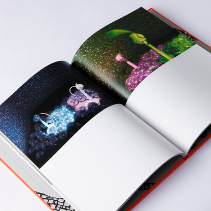 Catalogue TAKEHITO KOGANEZAWA
