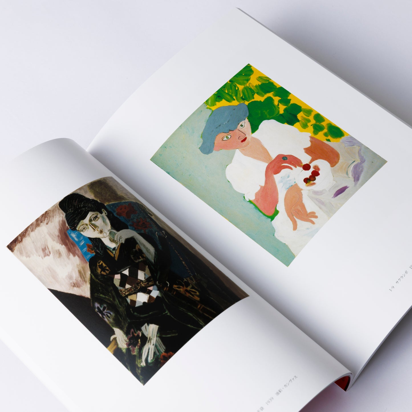 Catalog: "Simlicite and Simple“Takeji Fujishima and Genichiro Inokuma 