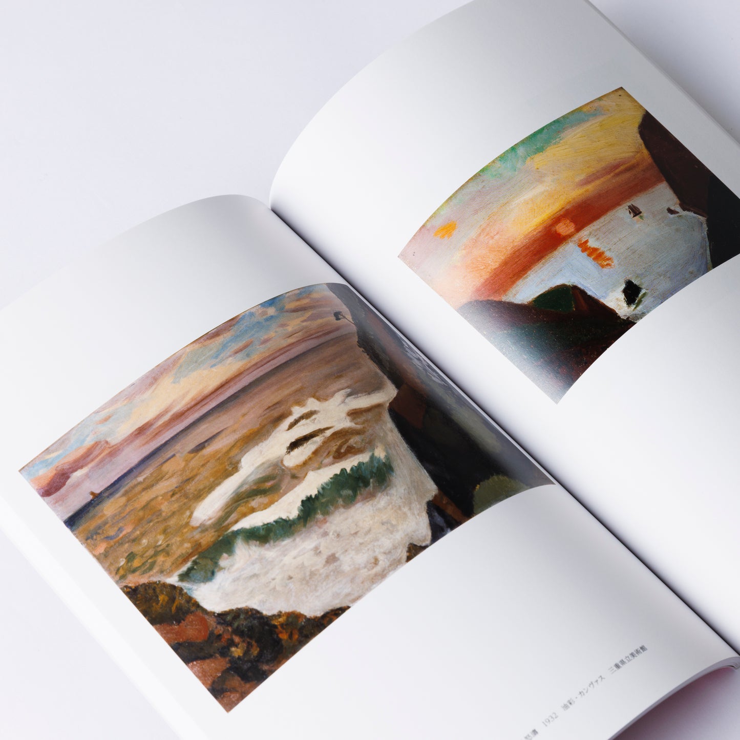 Catalog: "Simlicite and Simple“Takeji Fujishima and Genichiro Inokuma 