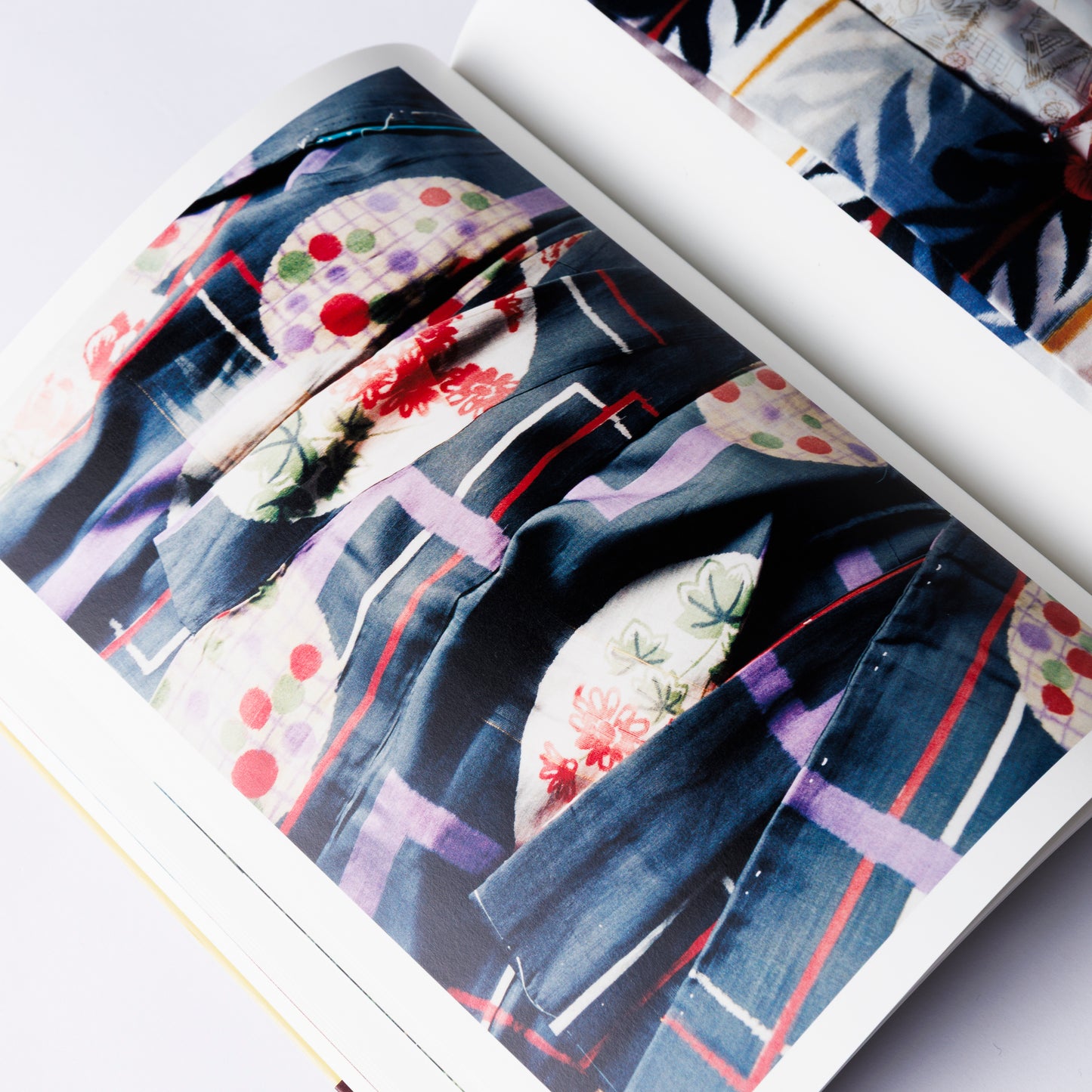 Book Ishiuchi Miyako: From Cocoons