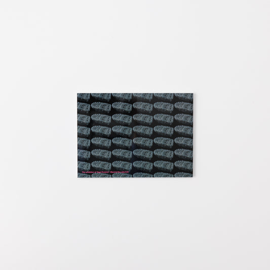 草間彌生展 Labyrinth-迷宮の彼方に