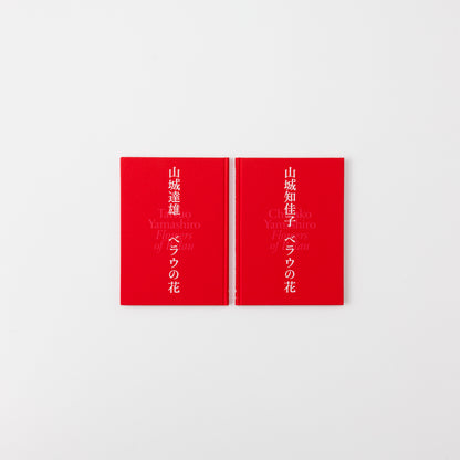 Catalog: Chikako Yamashiro :Flowers of Belau