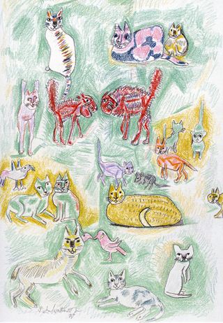 Postcard Catland