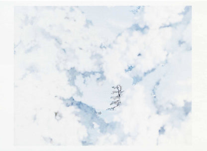 鈴木理策ポストカード White09,H-343