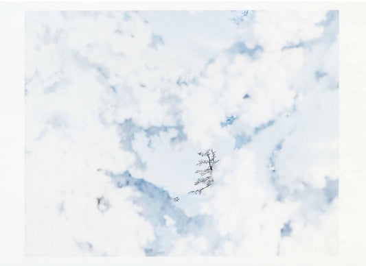 鈴木理策ポストカード White09,H-343