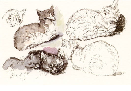 Postcard cat 6 drawing