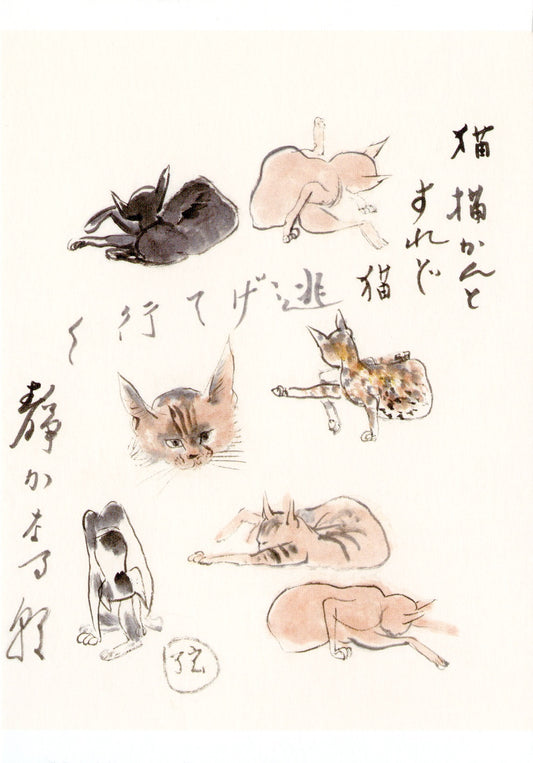 Postcard Cat running away